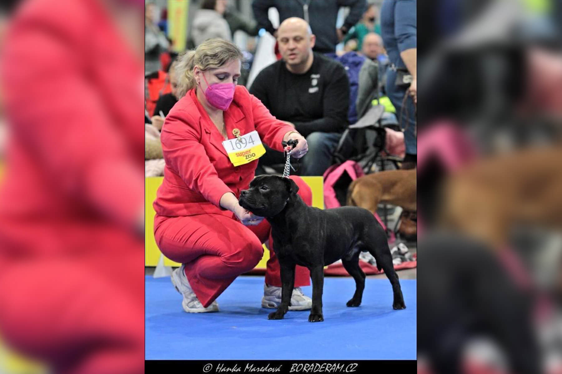 2022 Summary - DOMIDAR DOGS Kennel