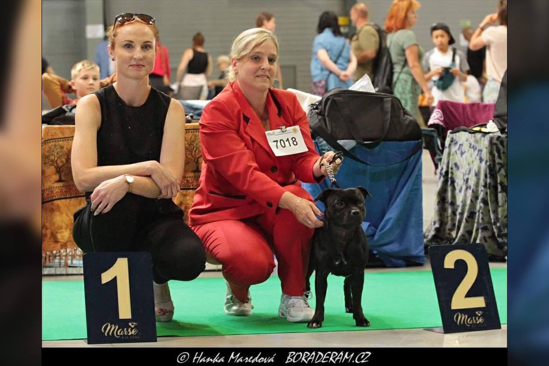 2022 Summary - DOMIDAR DOGS Kennel