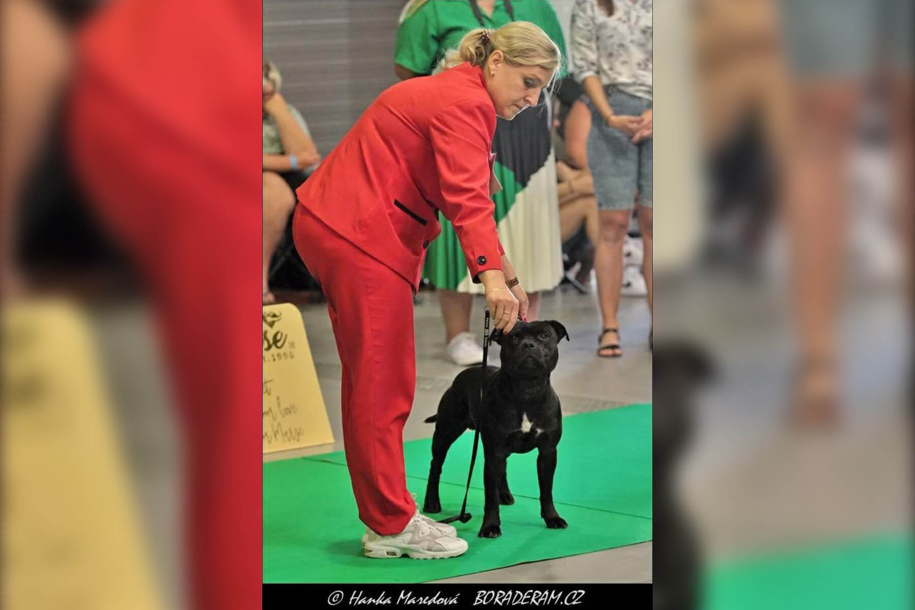 2022 Summary - DOMIDAR DOGS Kennel