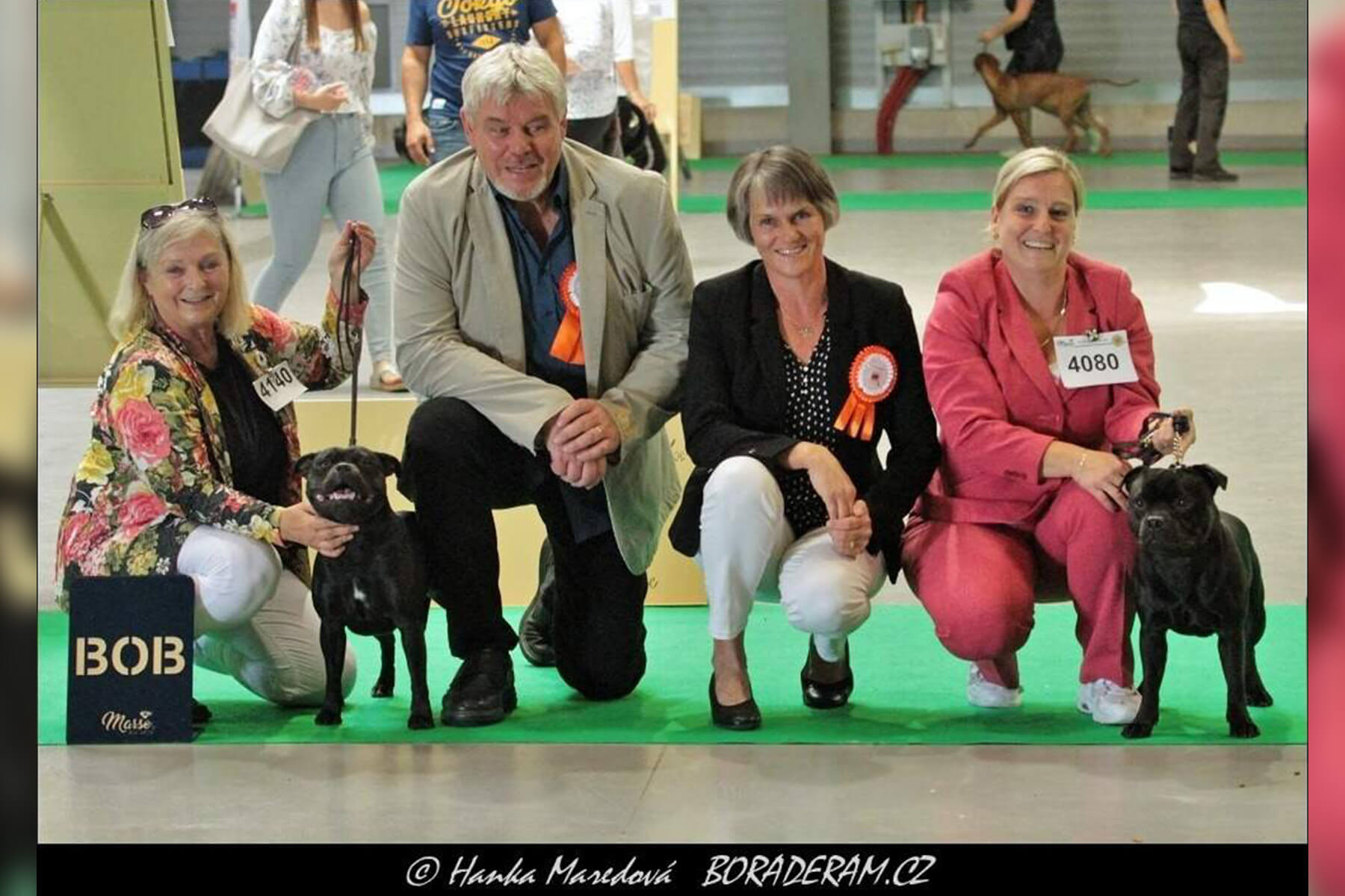 2022 Summary - DOMIDAR DOGS Kennel