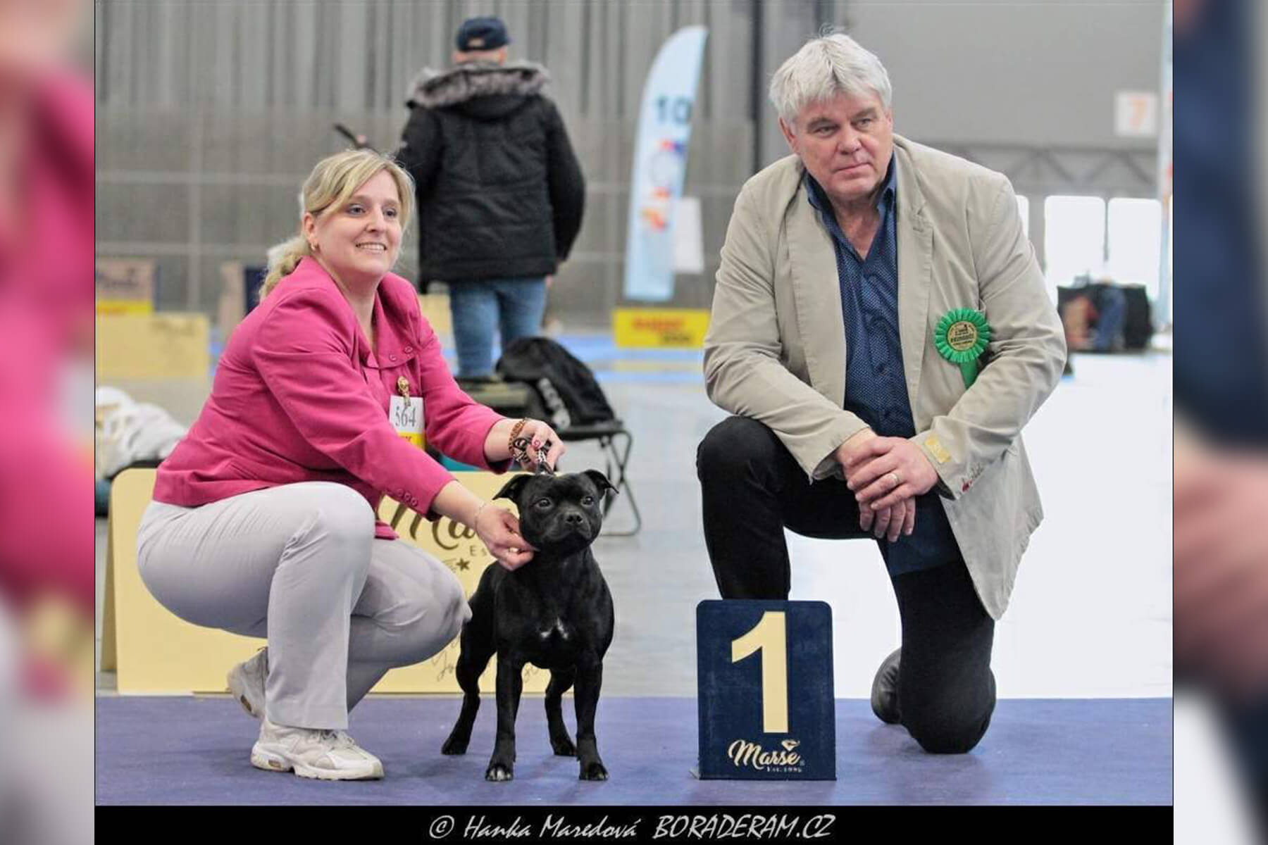2022 Summary - DOMIDAR DOGS Kennel