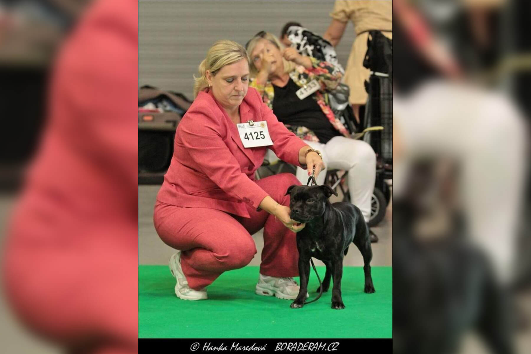 2022 Summary - DOMIDAR DOGS Kennel