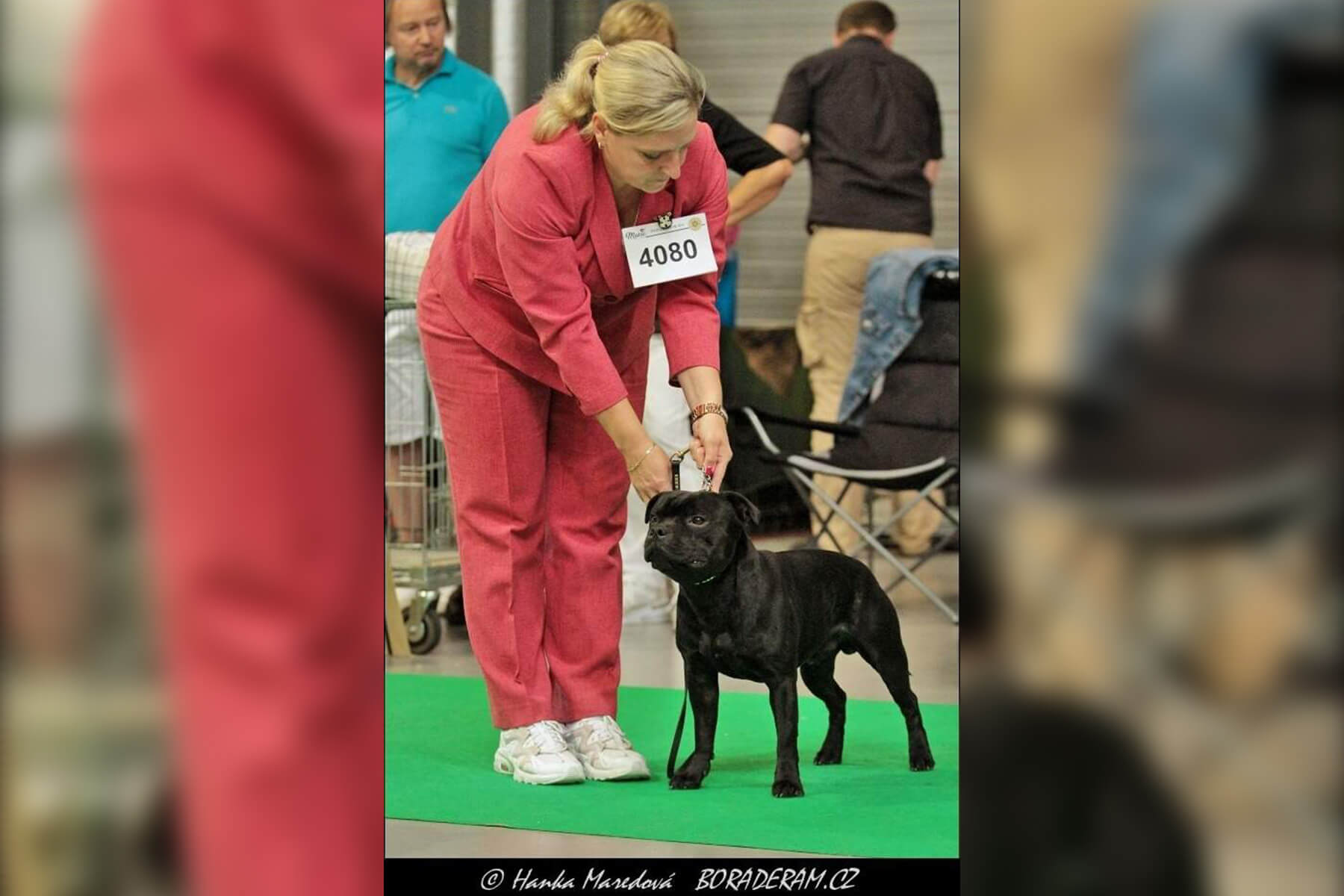 2022 Summary - DOMIDAR DOGS Kennel