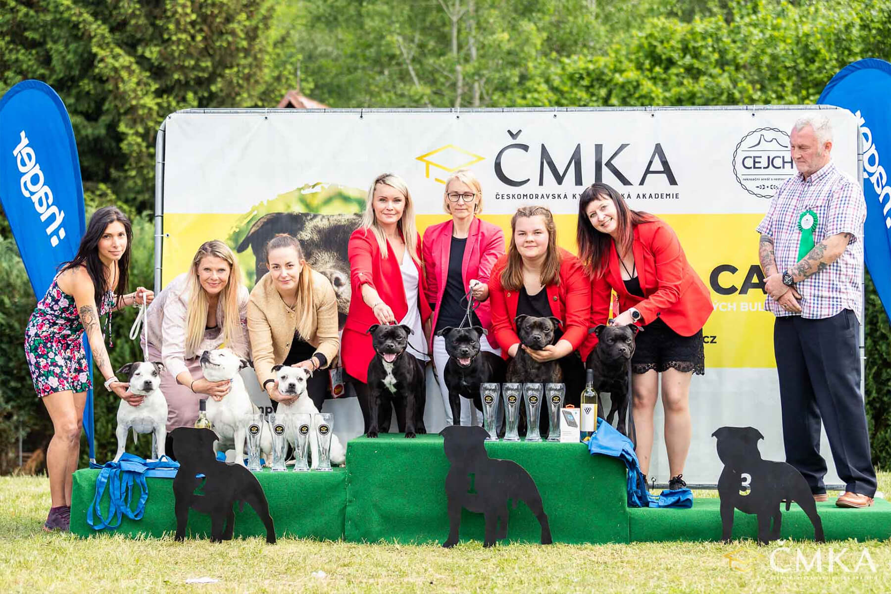 2022 Summary - DOMIDAR DOGS Kennel