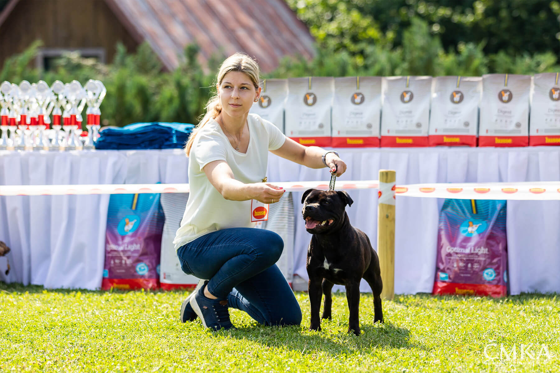 2022 Summary - DOMIDAR DOGS Kennel