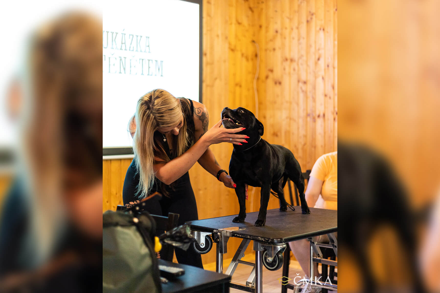 2022 Summary - DOMIDAR DOGS Kennel