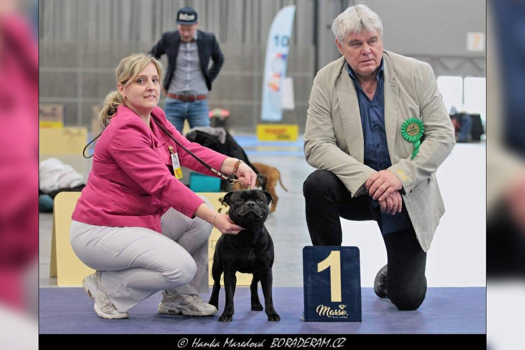 2022 Summary - DOMIDAR DOGS Kennel