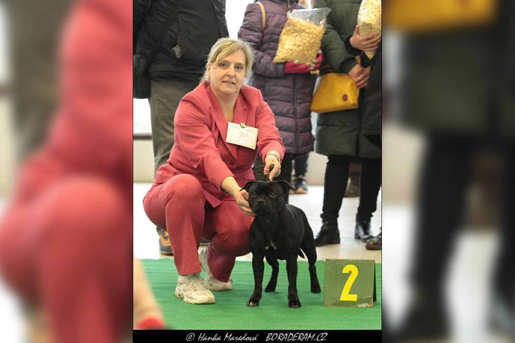 2022 Summary - DOMIDAR DOGS Kennel