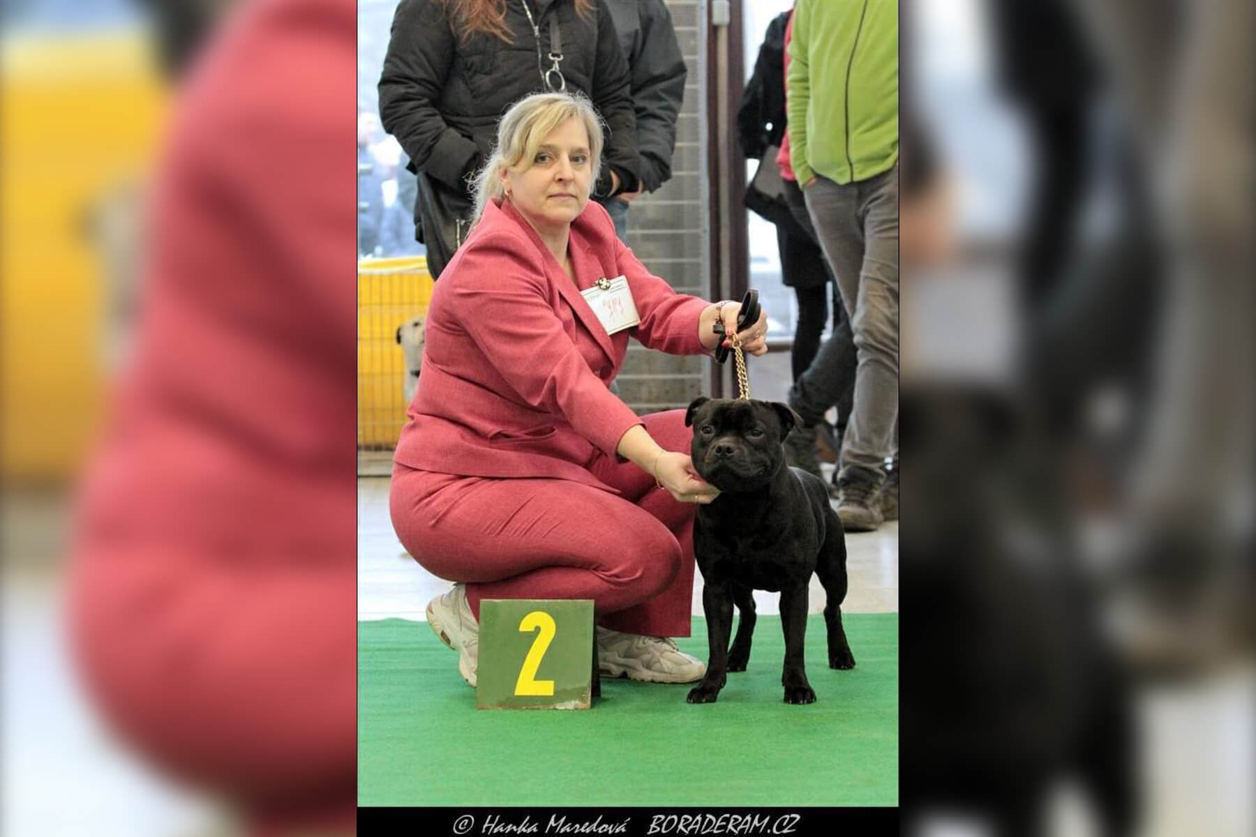 2022 Summary - DOMIDAR DOGS Kennel