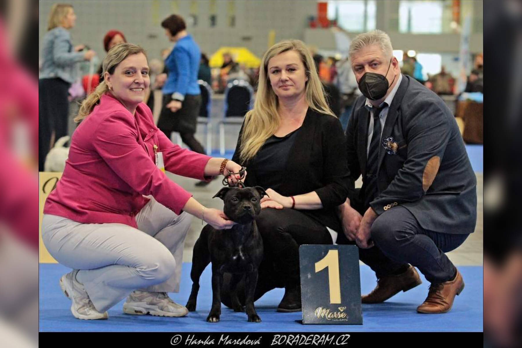 2022 Summary - DOMIDAR DOGS Kennel