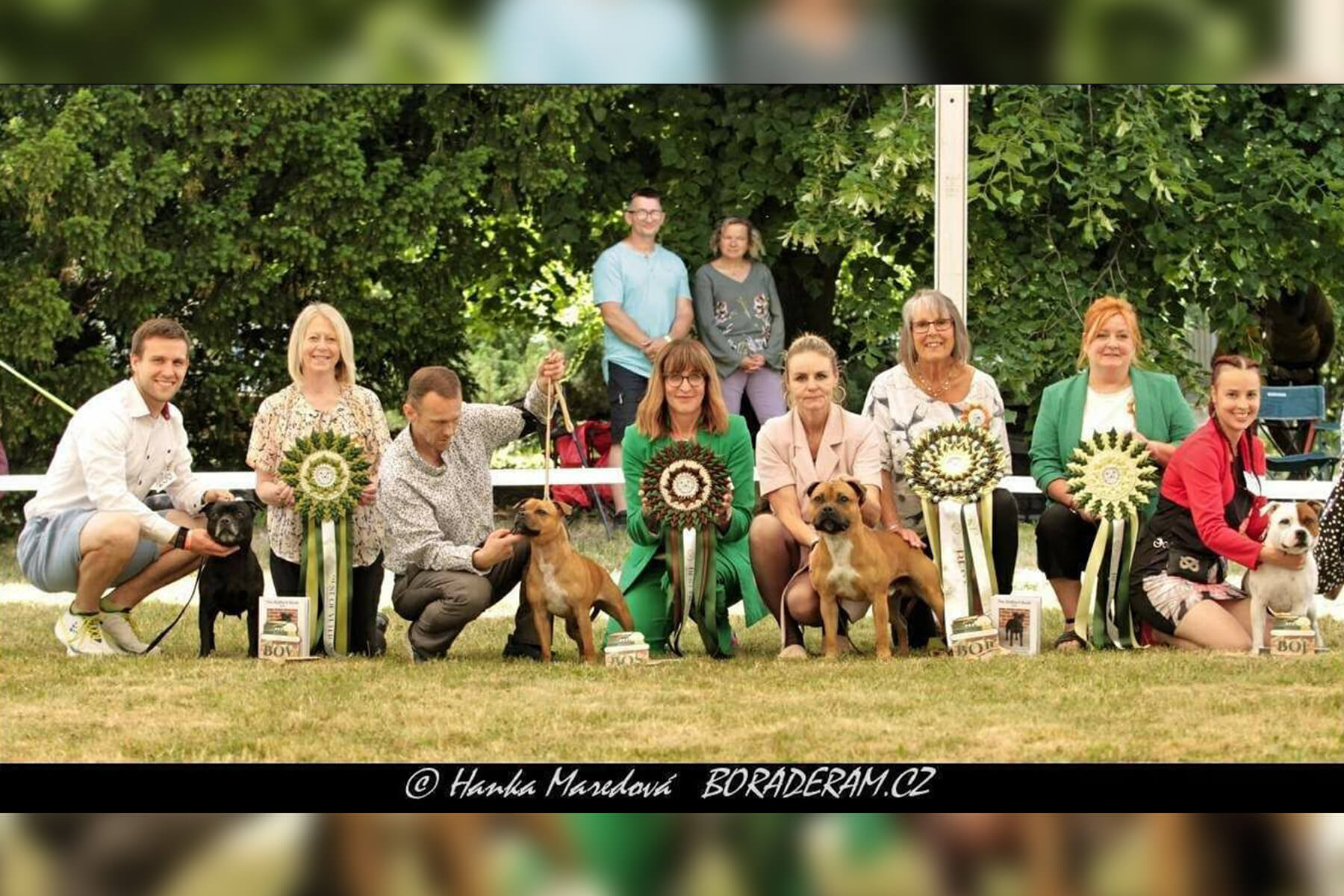 2023 Summary - DOMIDAR DOGS Kennel