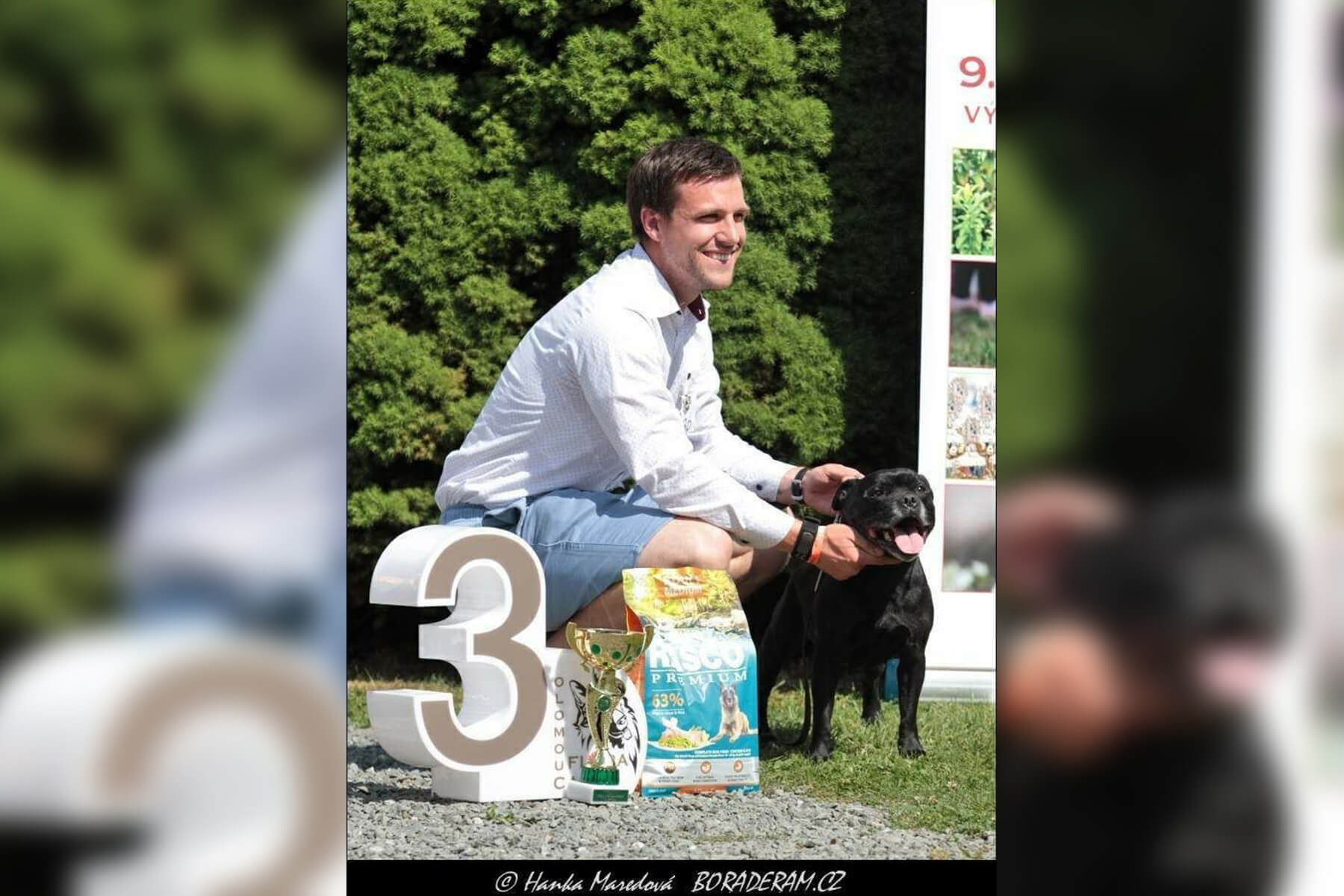 2023 Summary - DOMIDAR DOGS Kennel