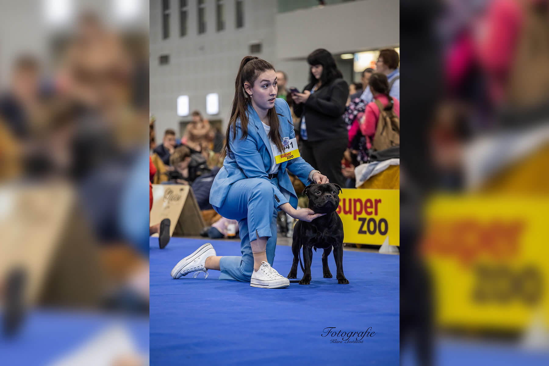 2023 Summary - DOMIDAR DOGS Kennel