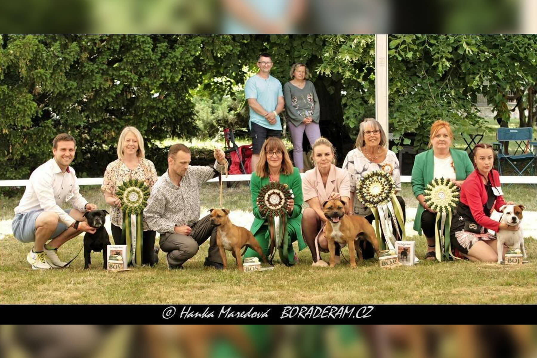 2023 Summary - DOMIDAR DOGS Kennel