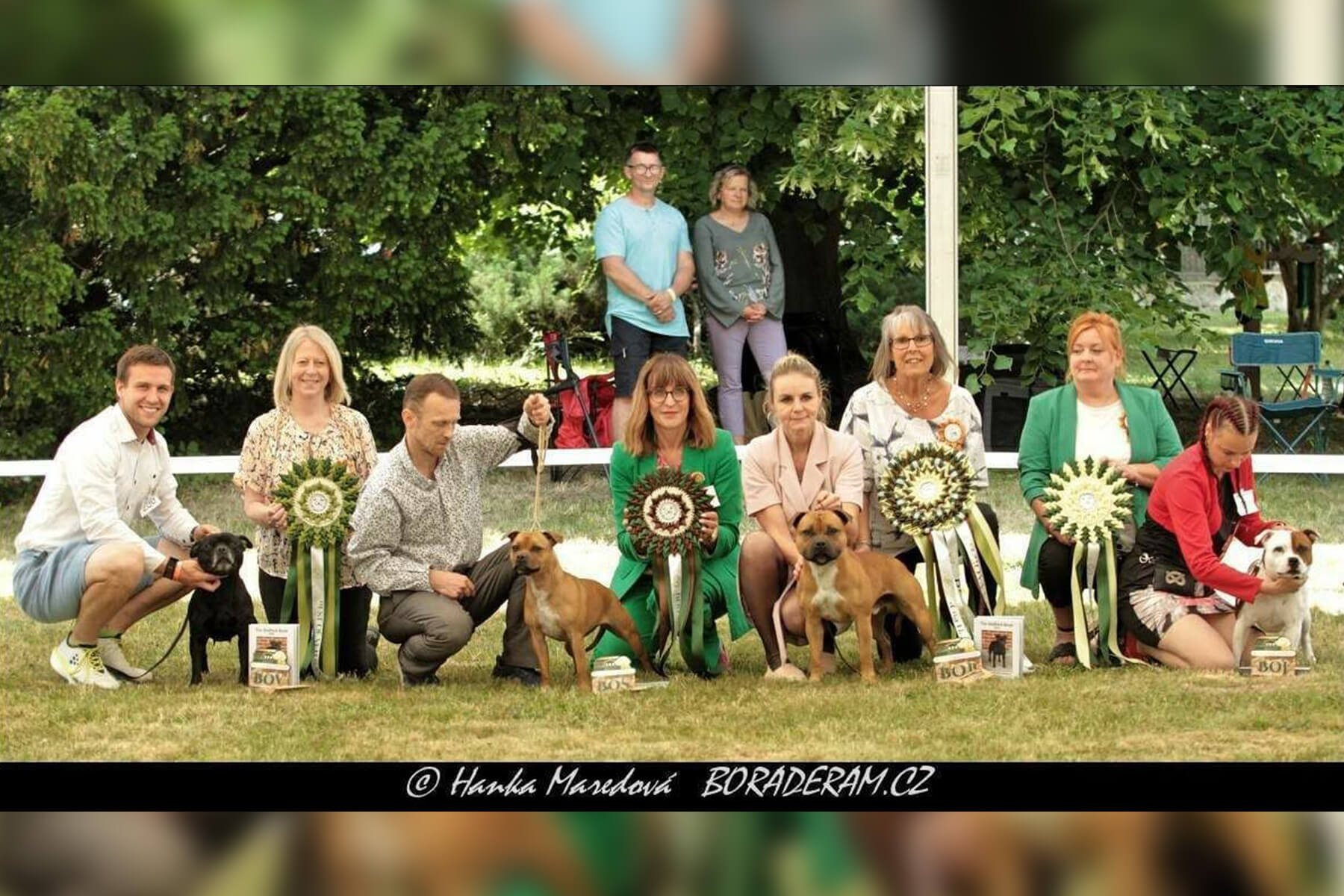 2023 Summary - DOMIDAR DOGS Kennel