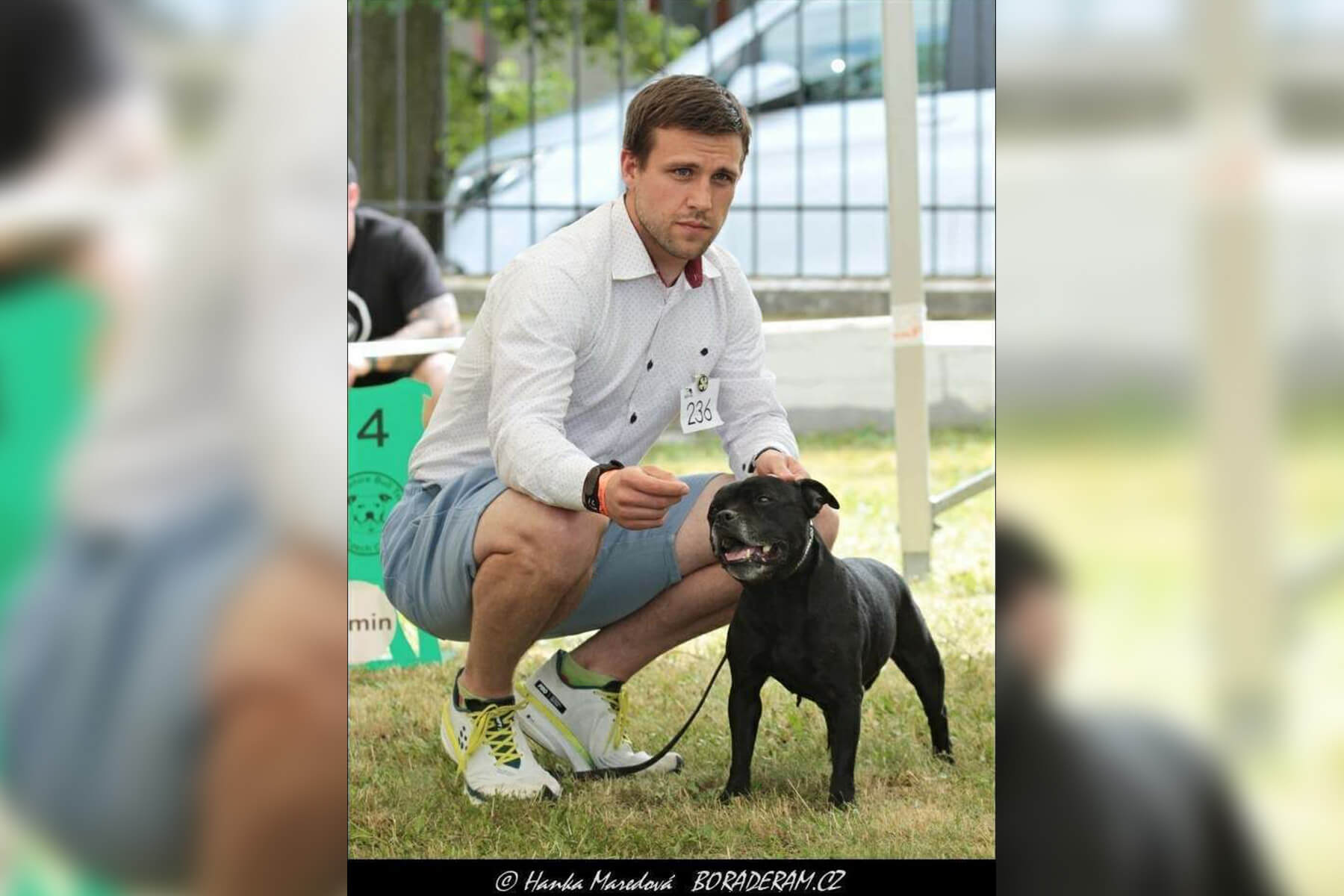 2023 Summary - DOMIDAR DOGS Kennel