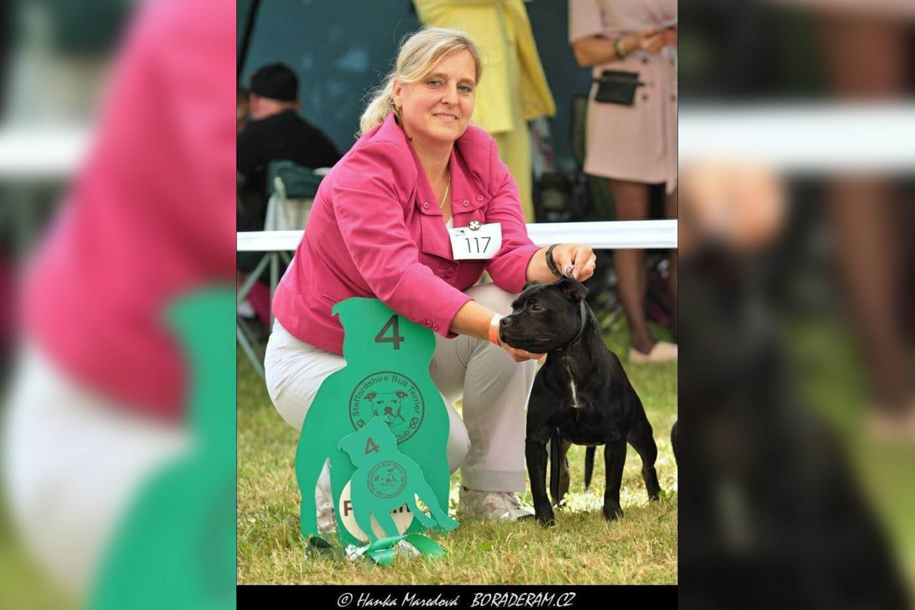 2023 Summary - DOMIDAR DOGS Kennel