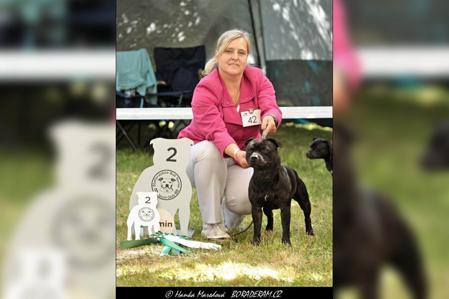 2023 Summary - DOMIDAR DOGS Kennel