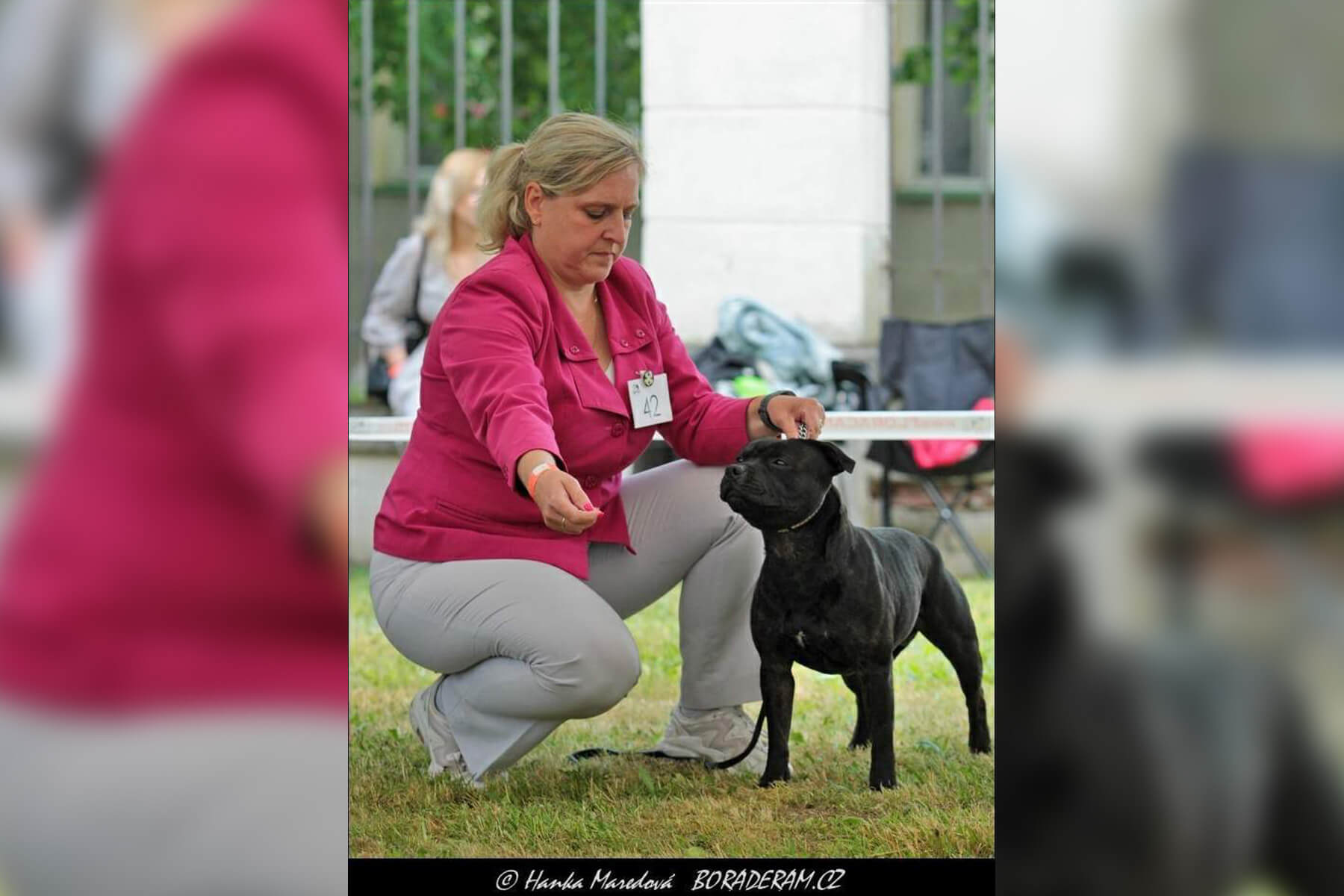 2023 Summary - DOMIDAR DOGS Kennel