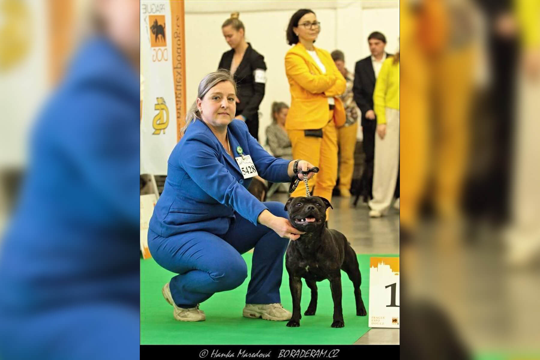 2023 Summary - DOMIDAR DOGS Kennel