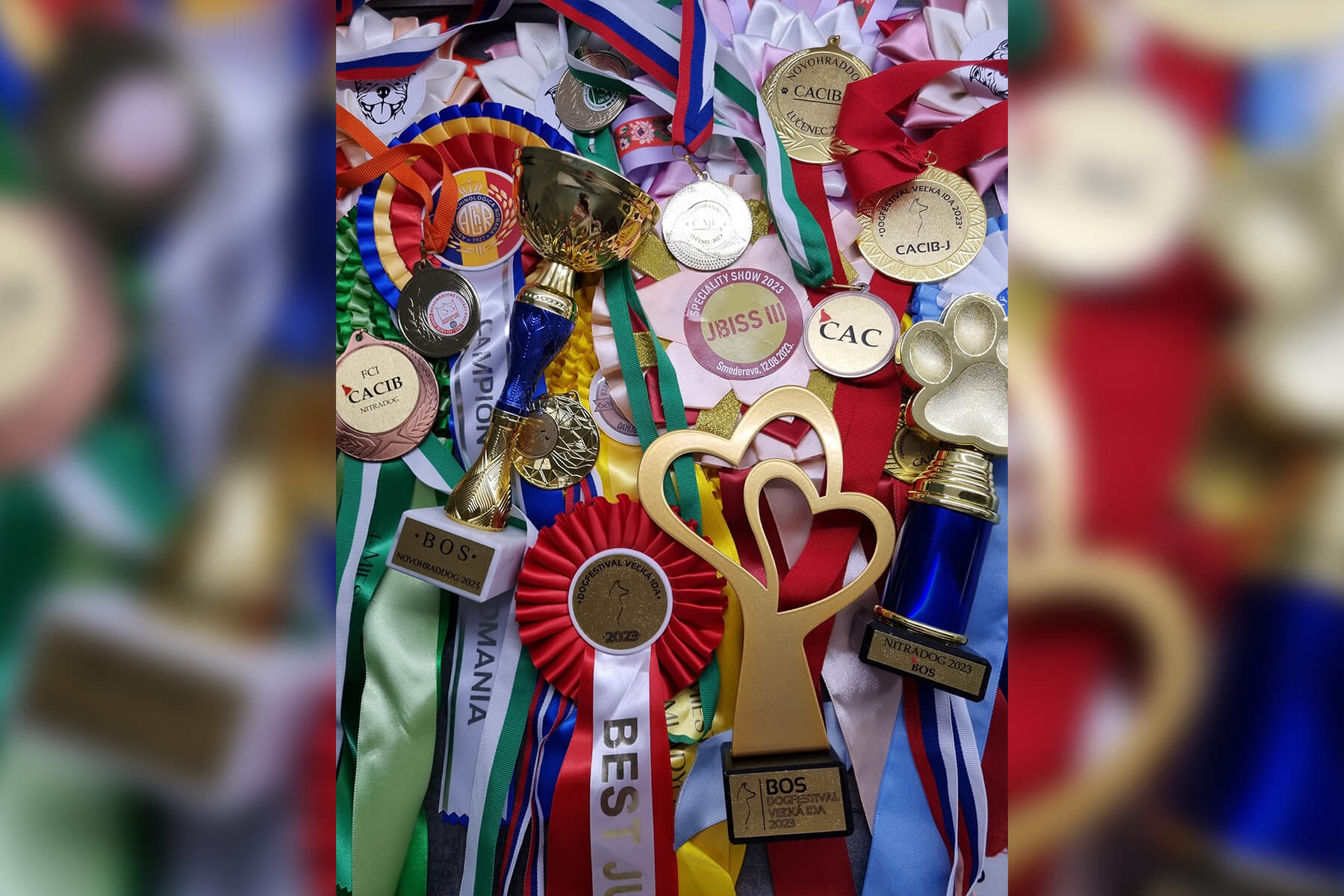 2023 Summary - DOMIDAR DOGS Kennel