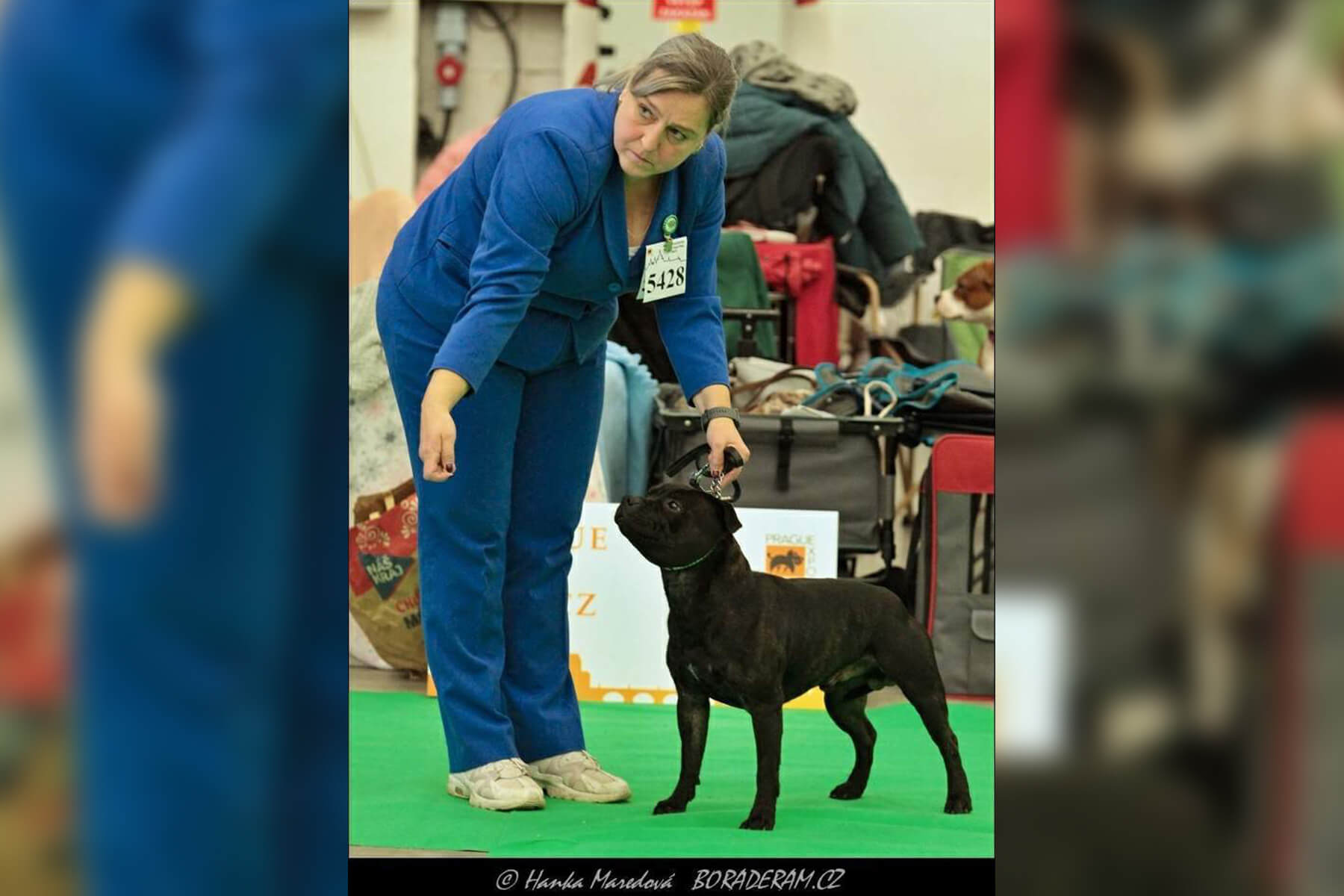 2023 Summary - DOMIDAR DOGS Kennel