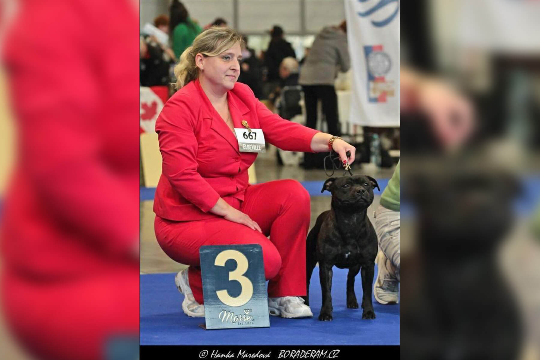 2023 Summary - DOMIDAR DOGS Kennel