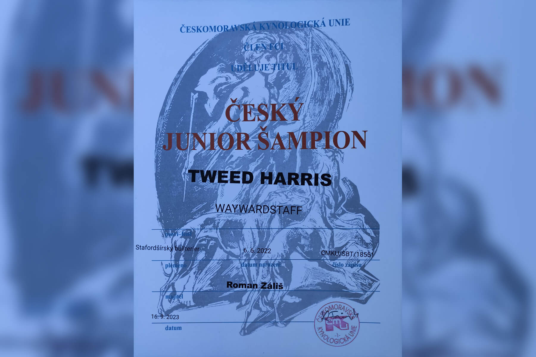 2023 Summary - DOMIDAR DOGS Kennel