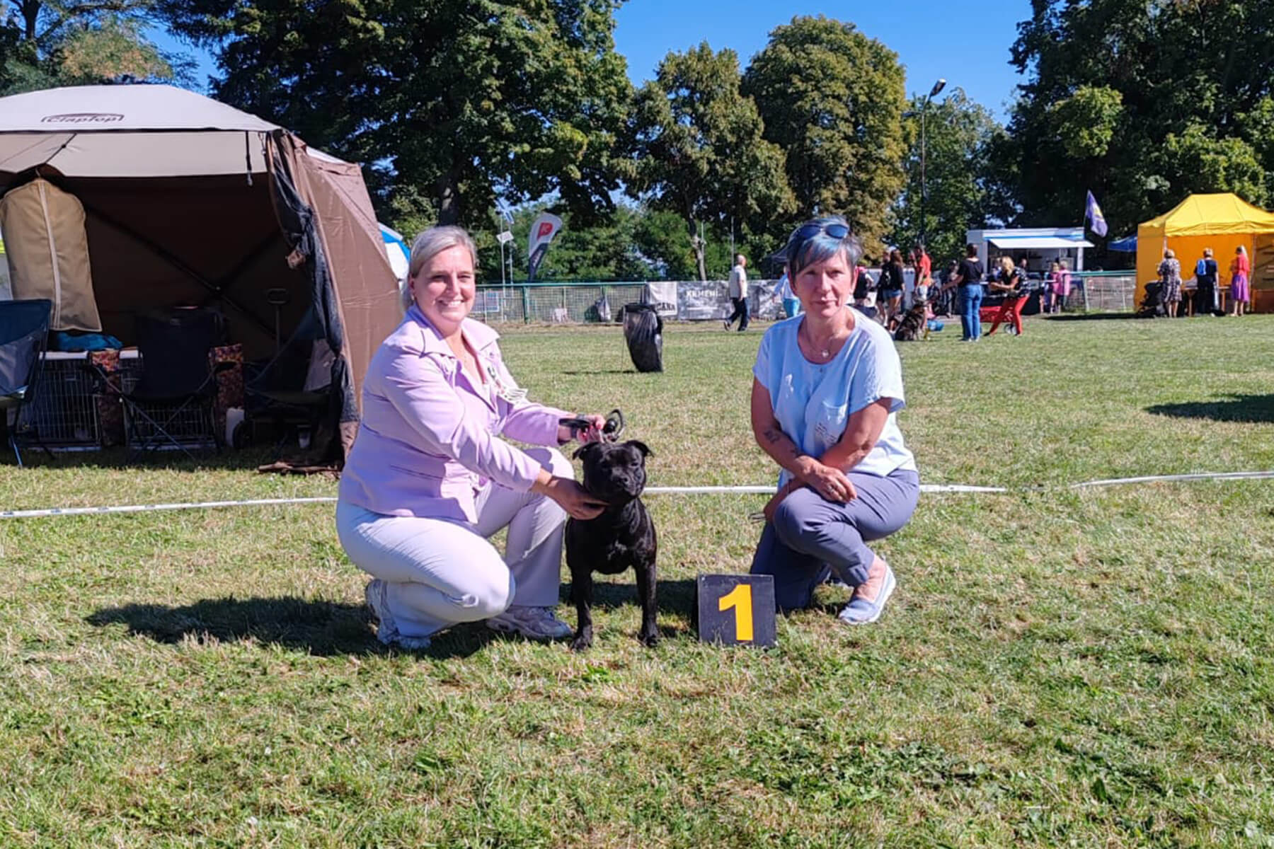 2023 Summary - DOMIDAR DOGS Kennel