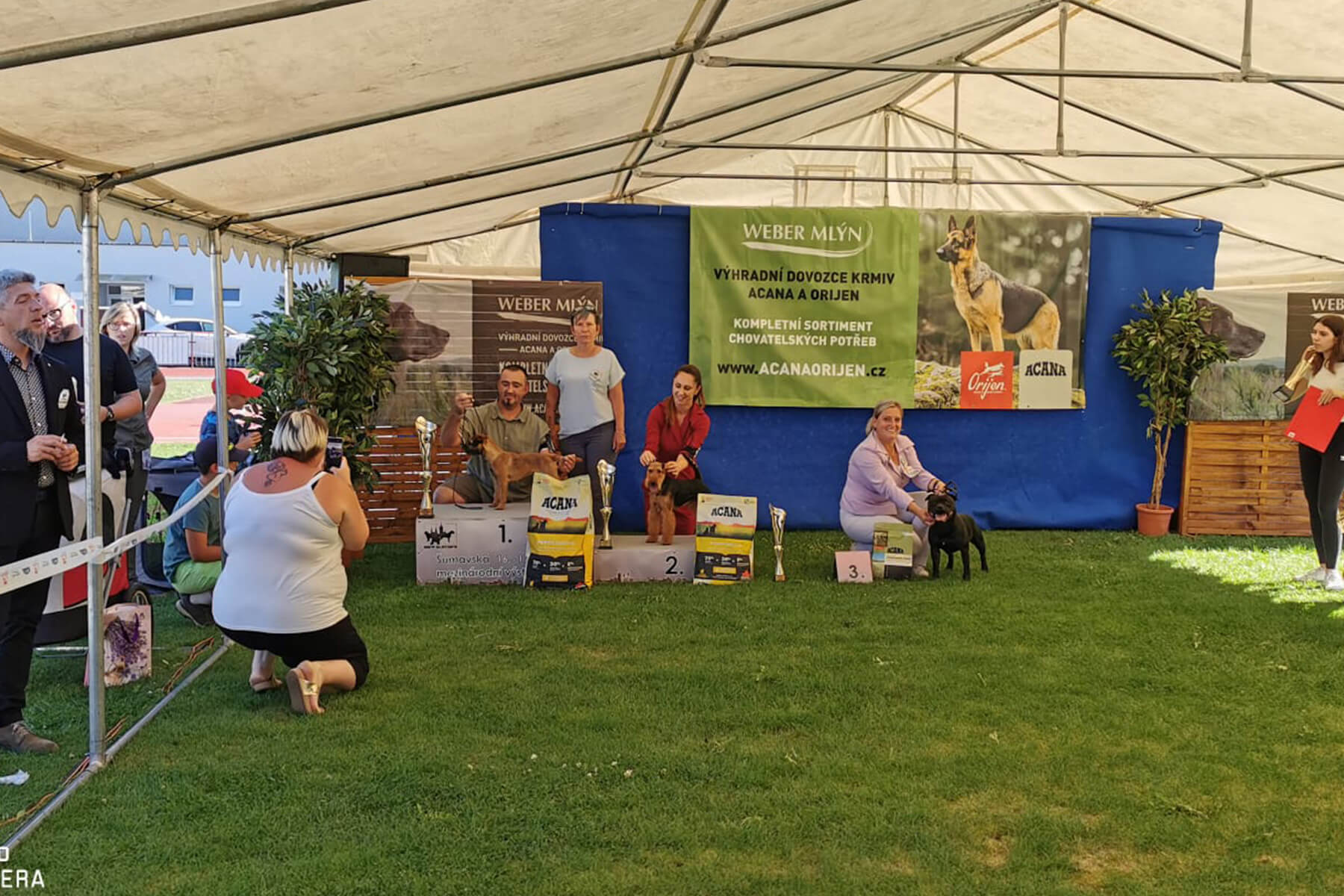 2023 Summary - DOMIDAR DOGS Kennel