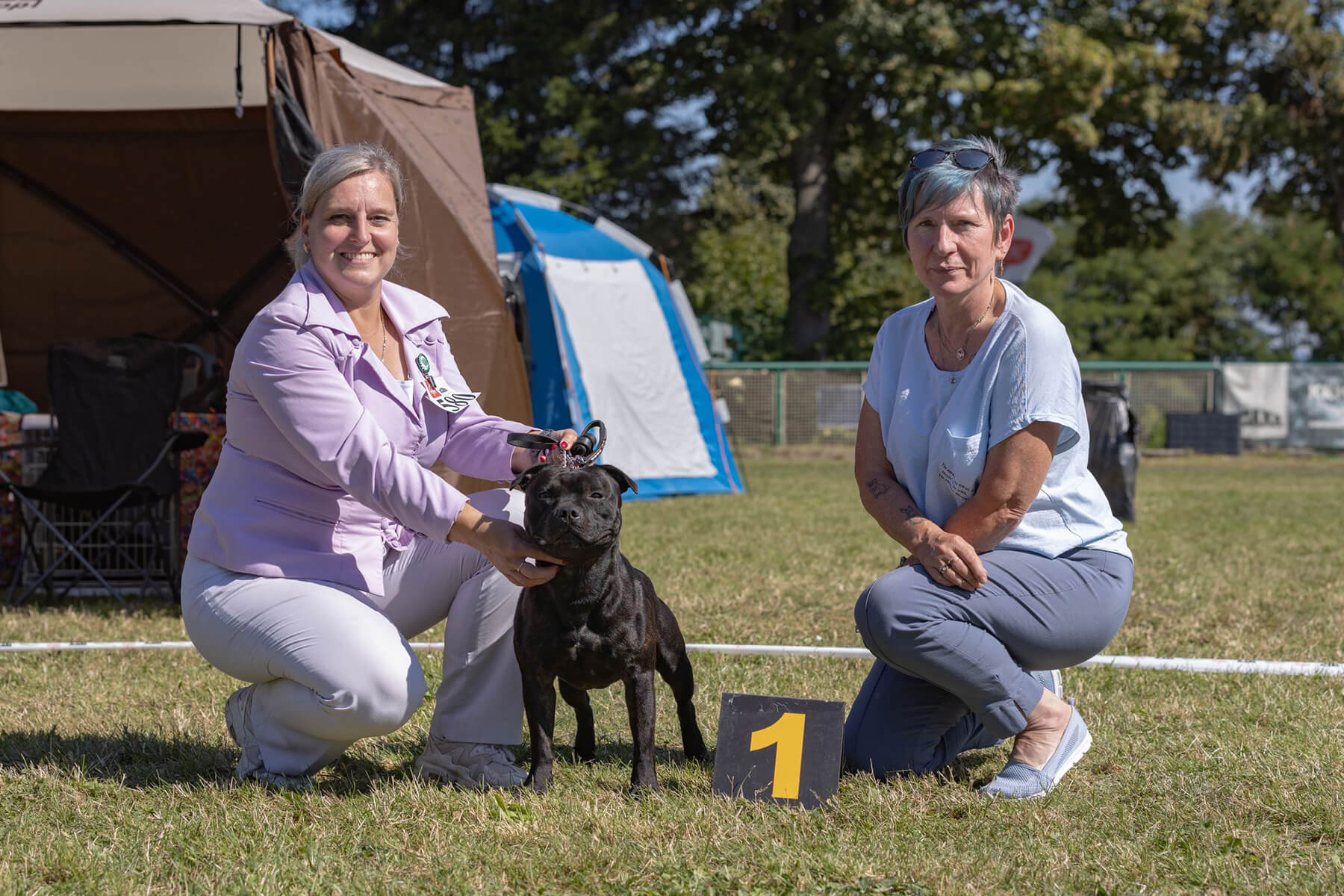 2023 Summary - DOMIDAR DOGS Kennel