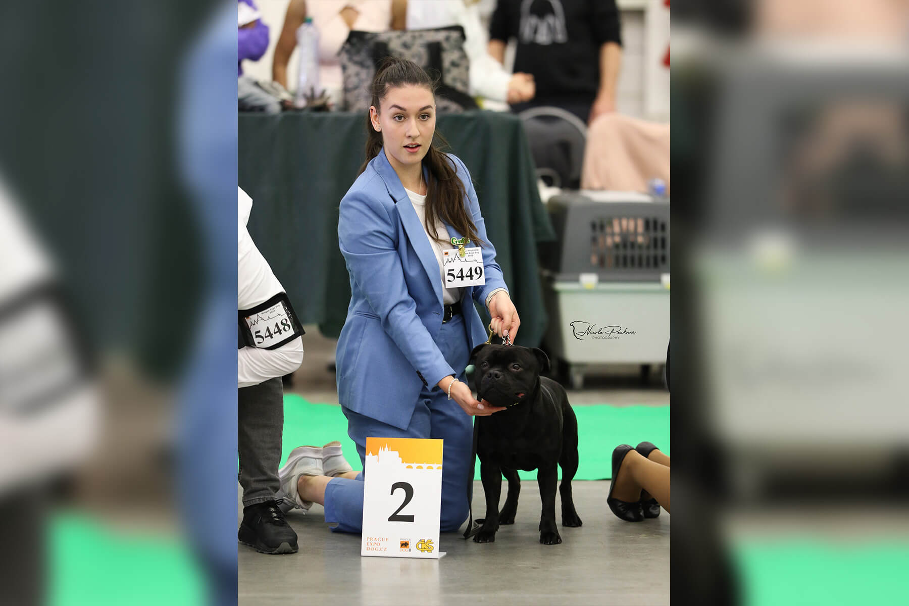 2023 Summary - DOMIDAR DOGS Kennel