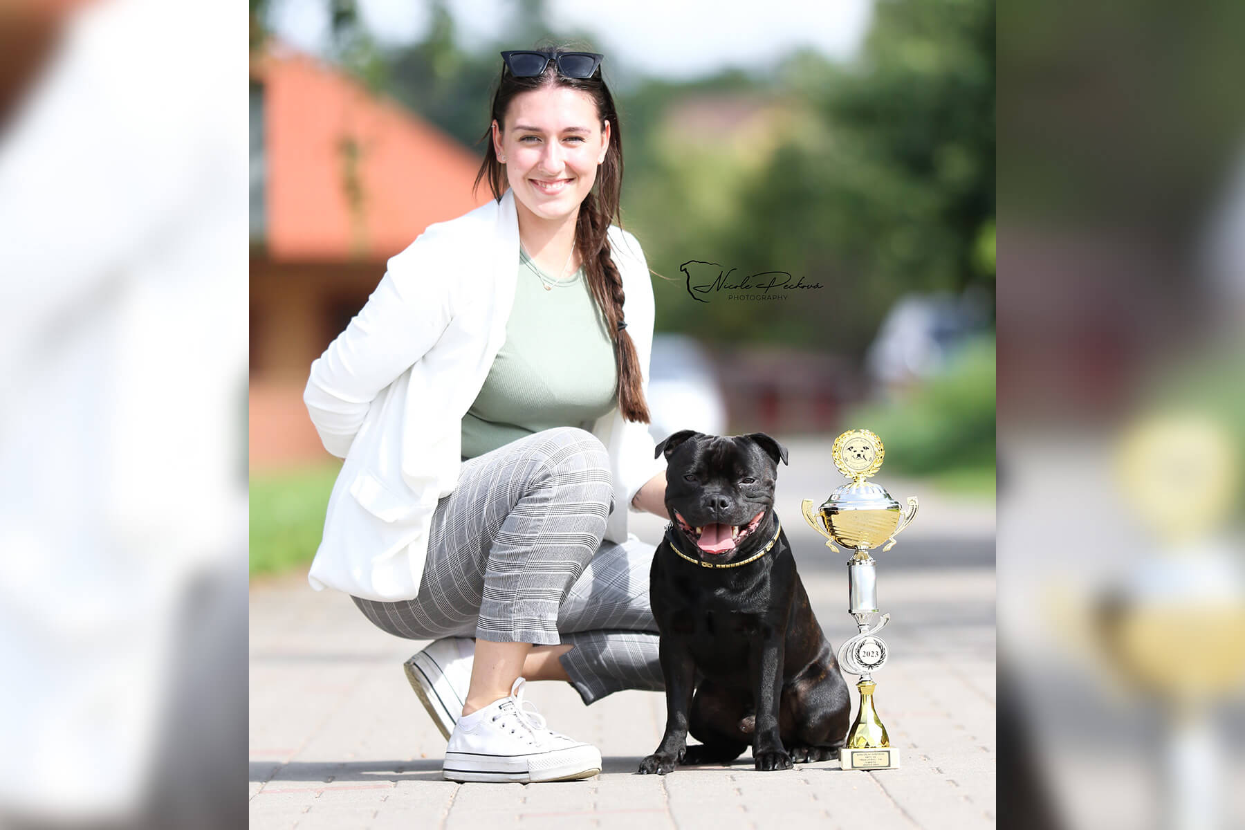 2023 Summary - DOMIDAR DOGS Kennel