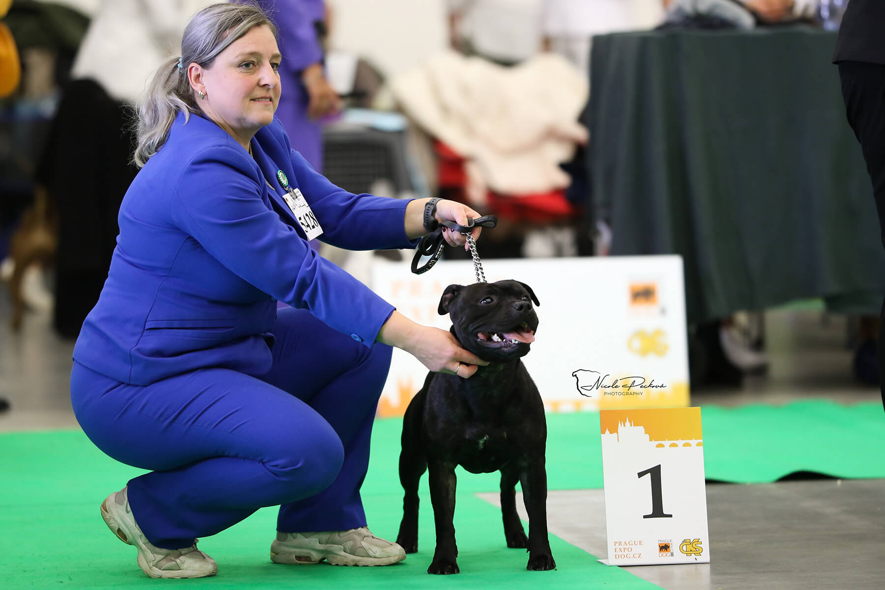 2023 Summary - DOMIDAR DOGS Kennel