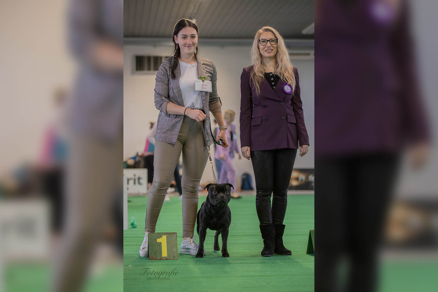 2023 Summary - DOMIDAR DOGS Kennel