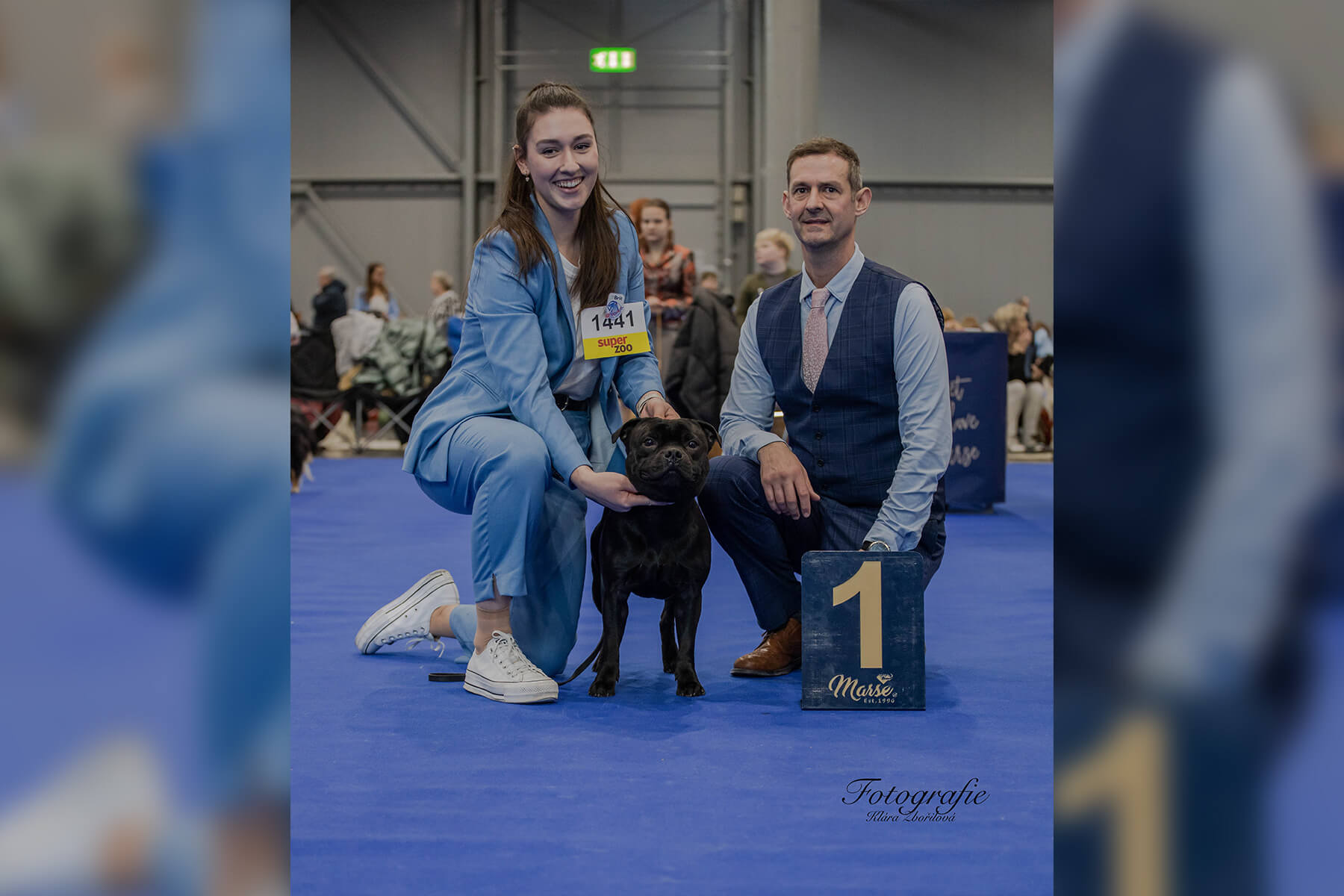 2023 Summary - DOMIDAR DOGS Kennel