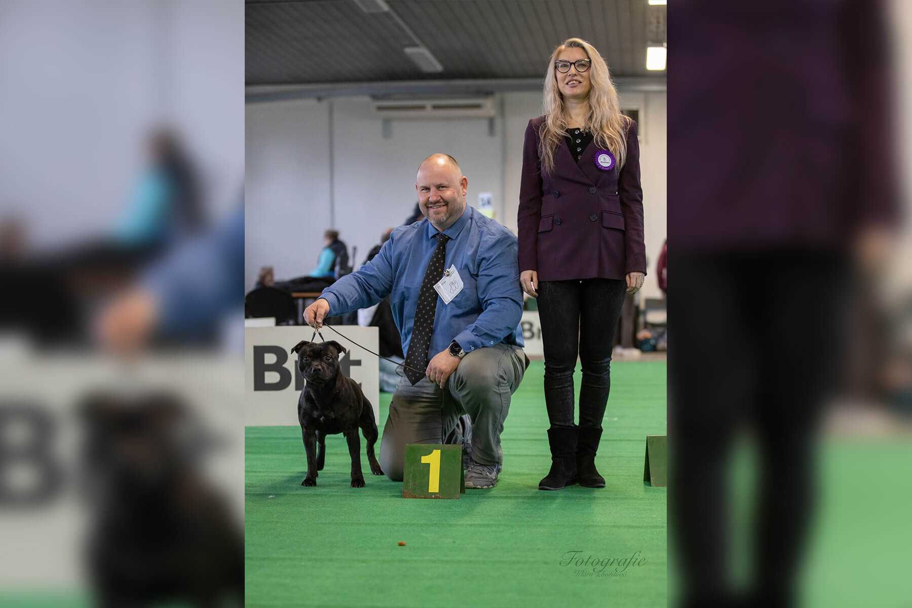 2023 Summary - DOMIDAR DOGS Kennel