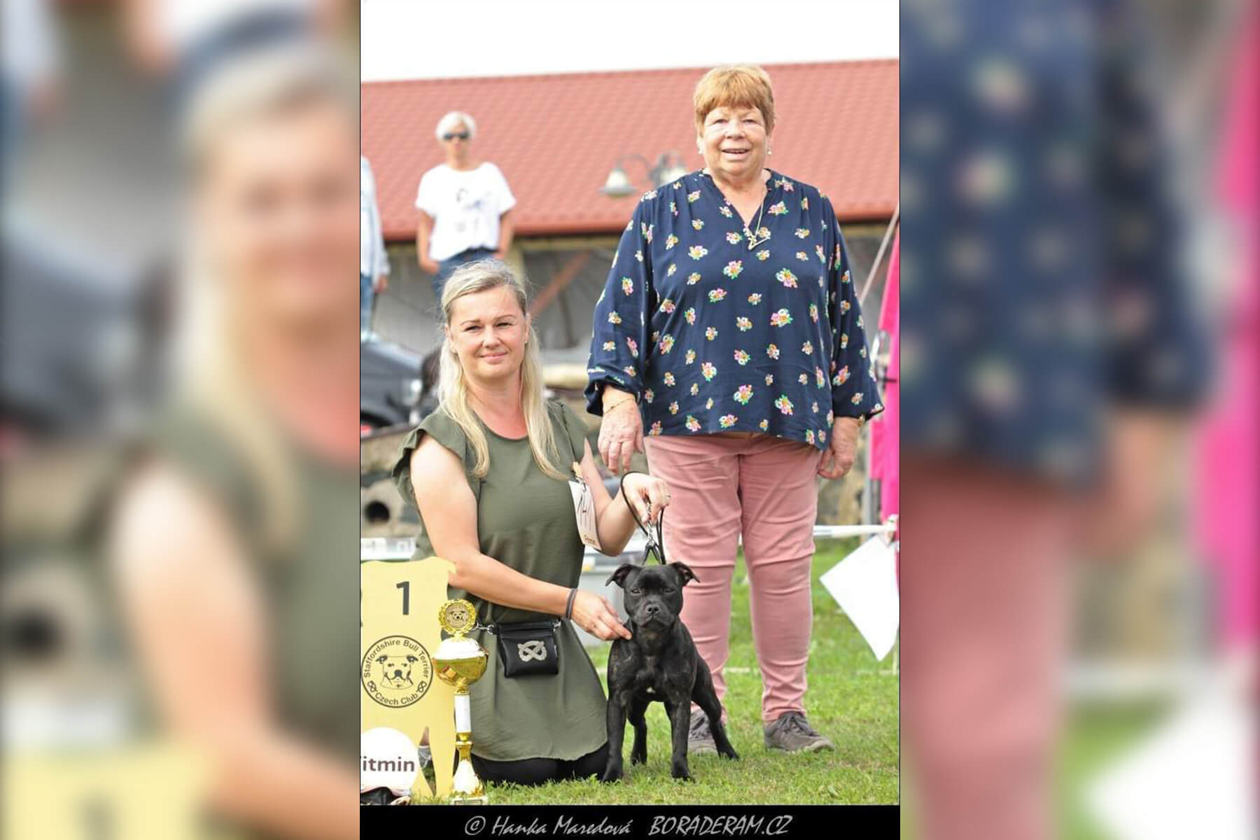 2023 Summary - DOMIDAR DOGS Kennel