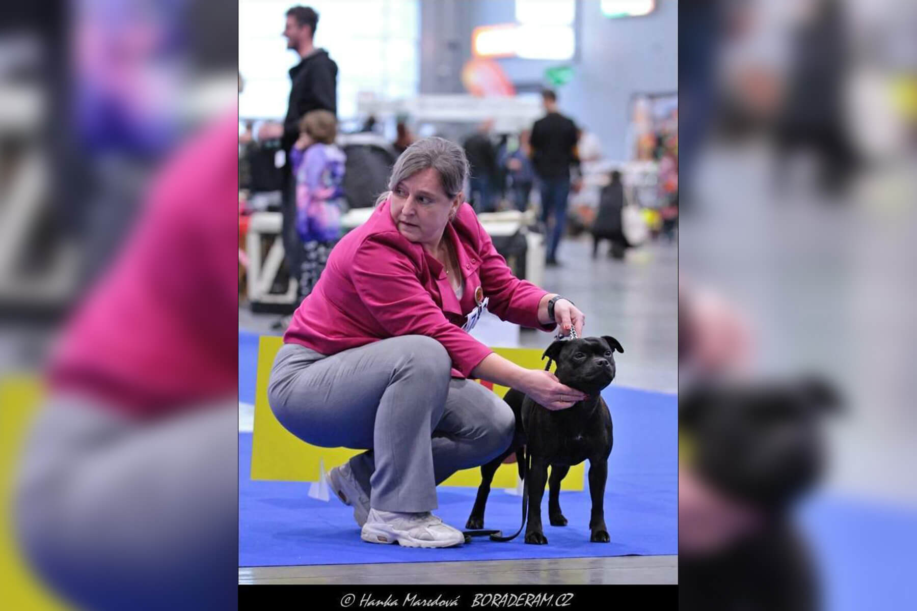 2024 Summary - DOMIDAR DOGS Kennel