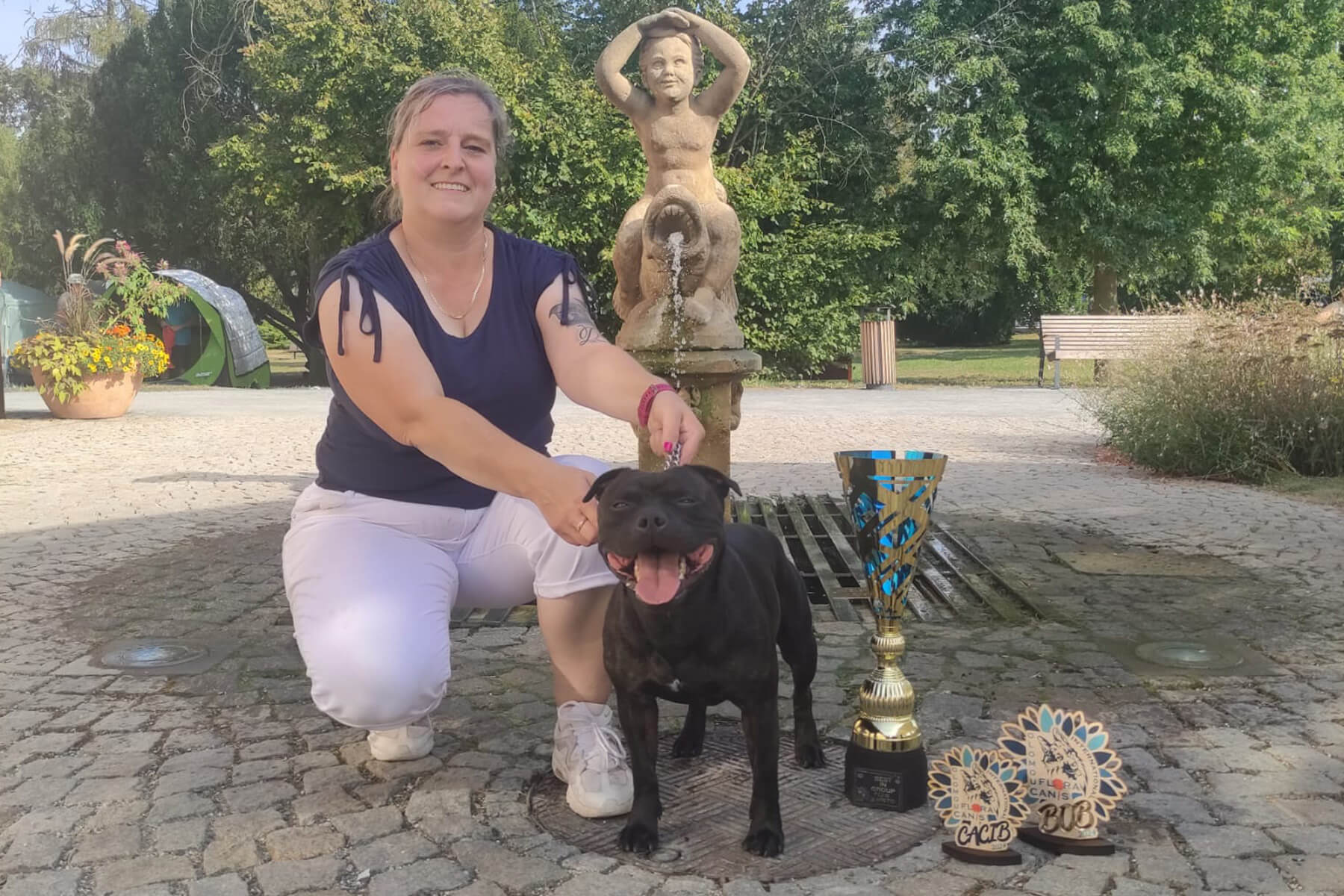 2024 Summary - DOMIDAR DOGS Kennel