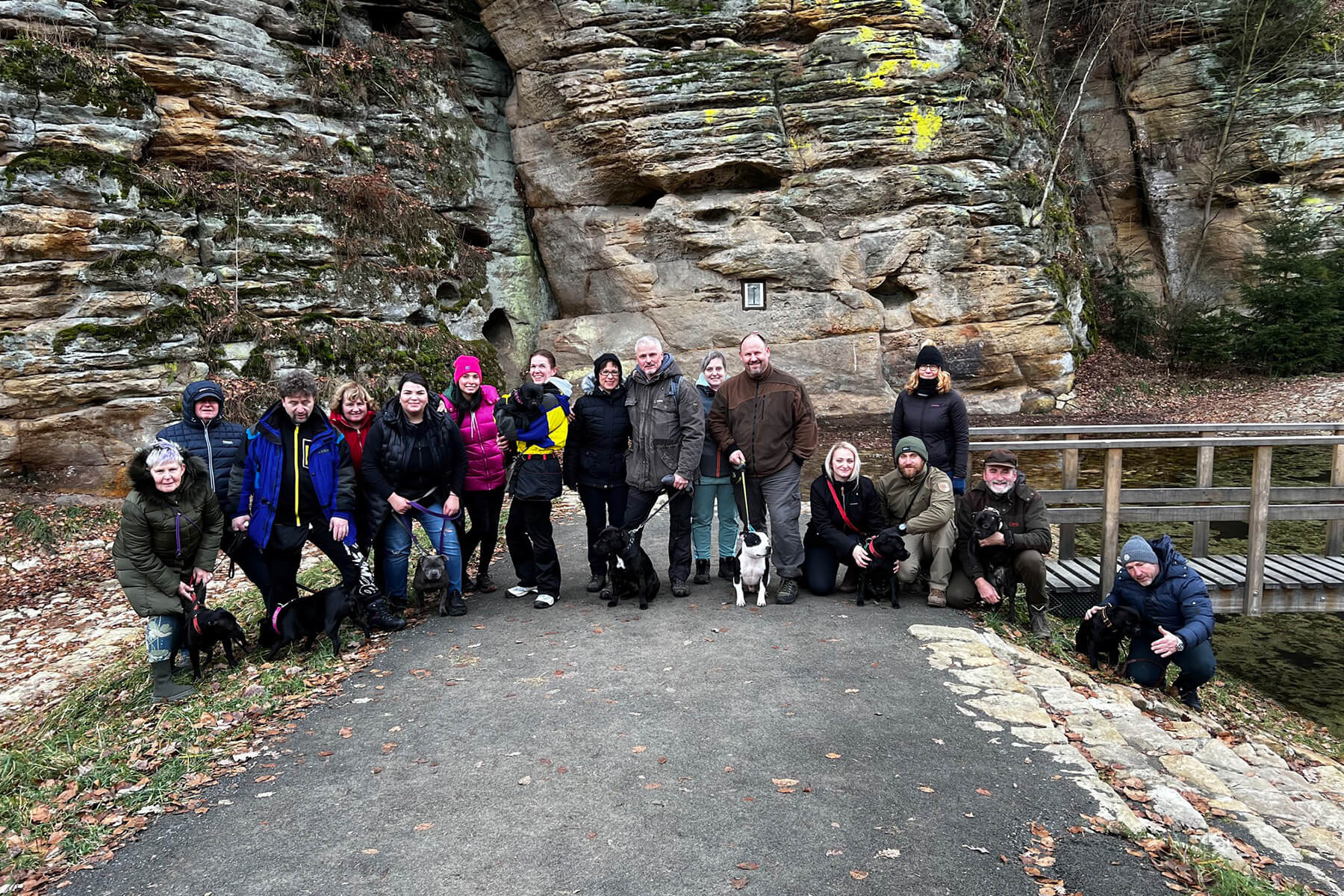 2024 Summary - DOMIDAR DOGS Kennel