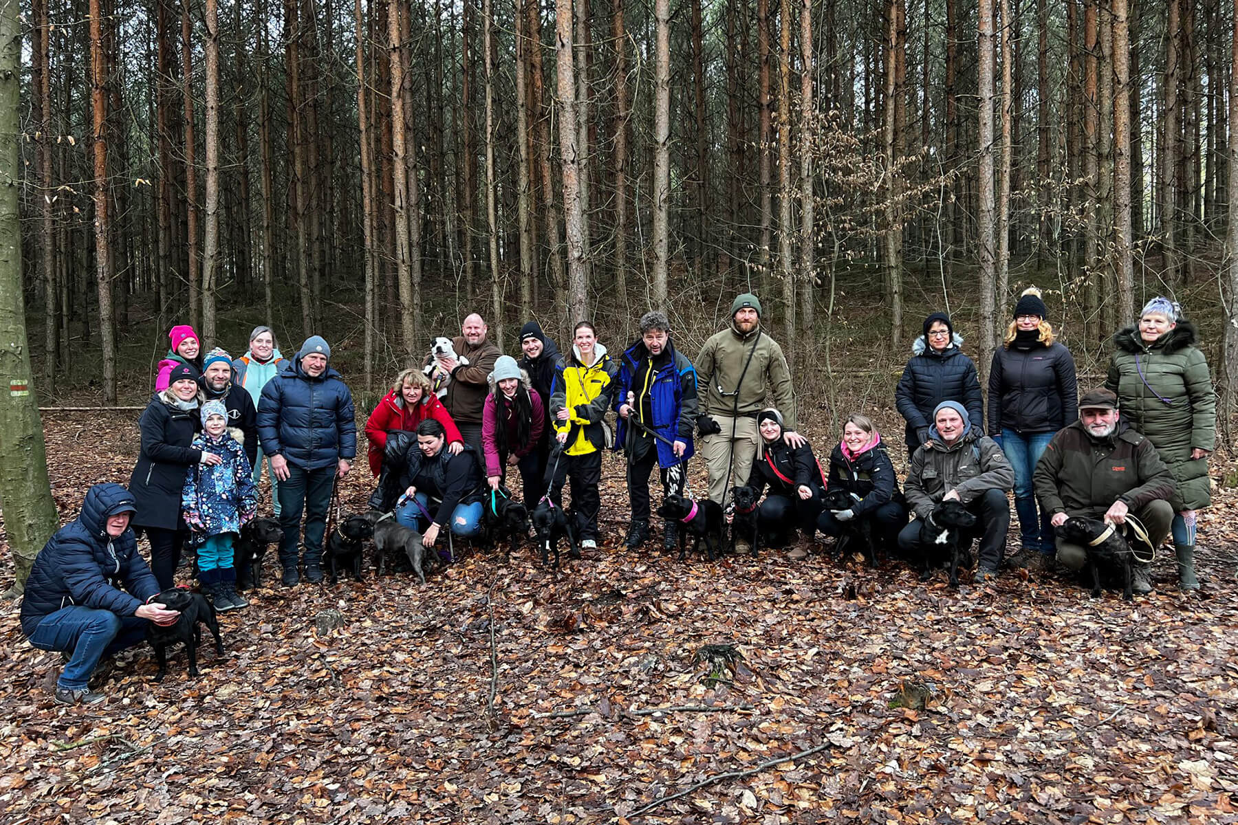 2024 Summary - DOMIDAR DOGS Kennel