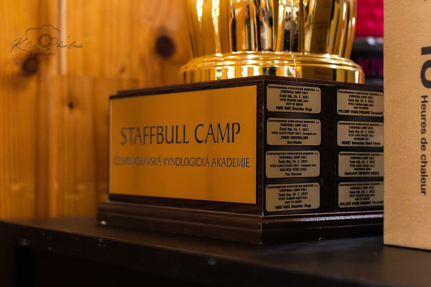 2024 Summary - DOMIDAR DOGS Kennel