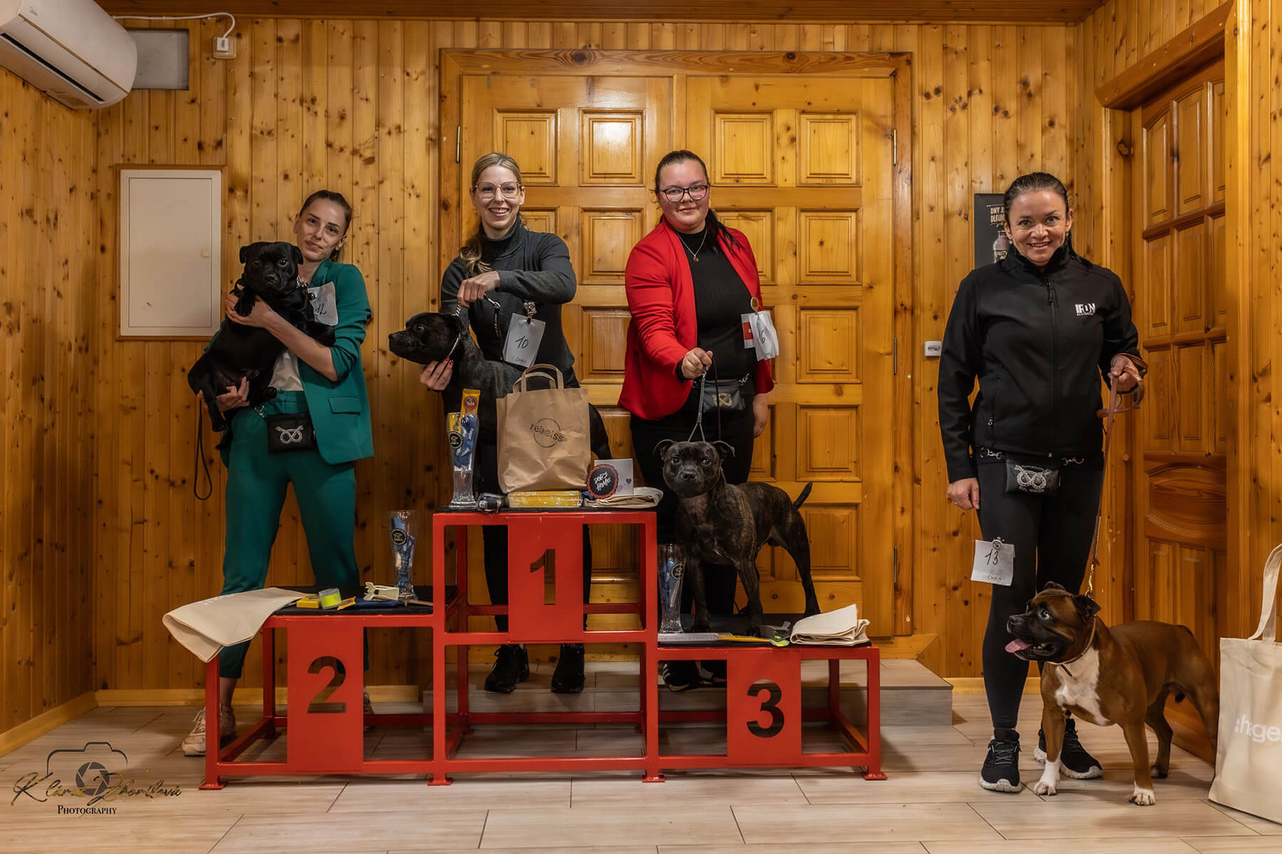 2024 Summary - DOMIDAR DOGS Kennel