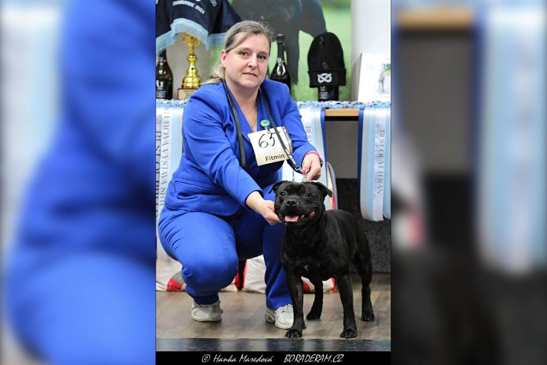 2024 Summary - DOMIDAR DOGS Kennel