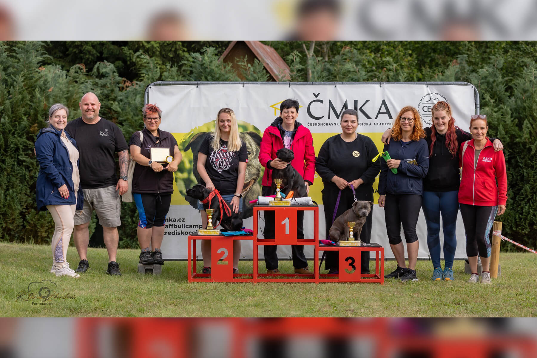 2024 Summary - DOMIDAR DOGS Kennel