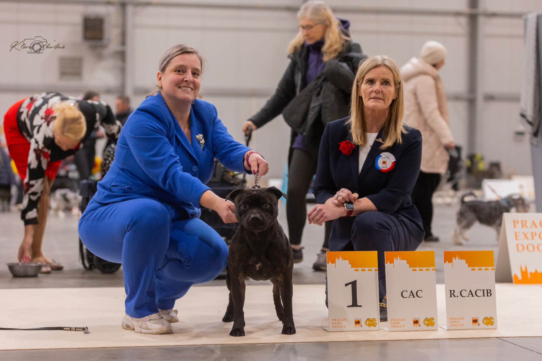 2024 Summary - DOMIDAR DOGS Kennel