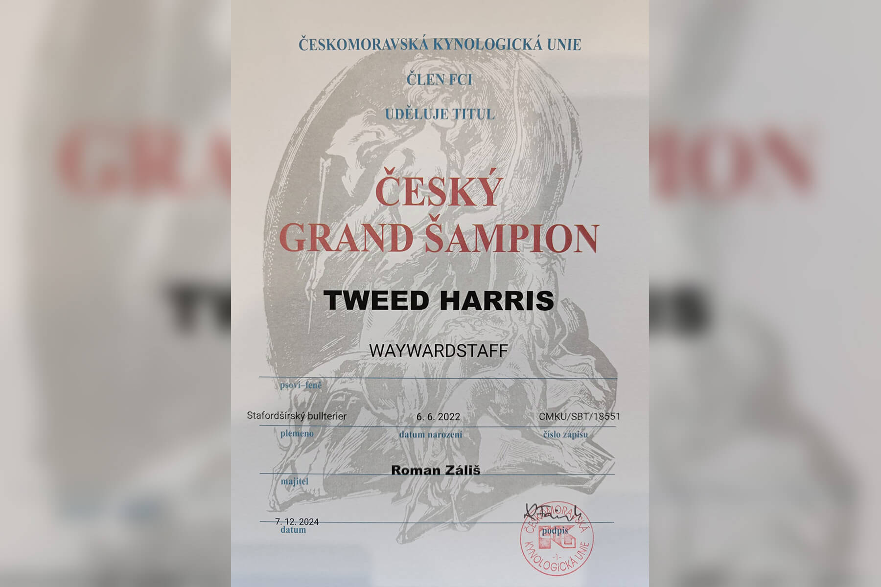 2024 Summary - DOMIDAR DOGS Kennel