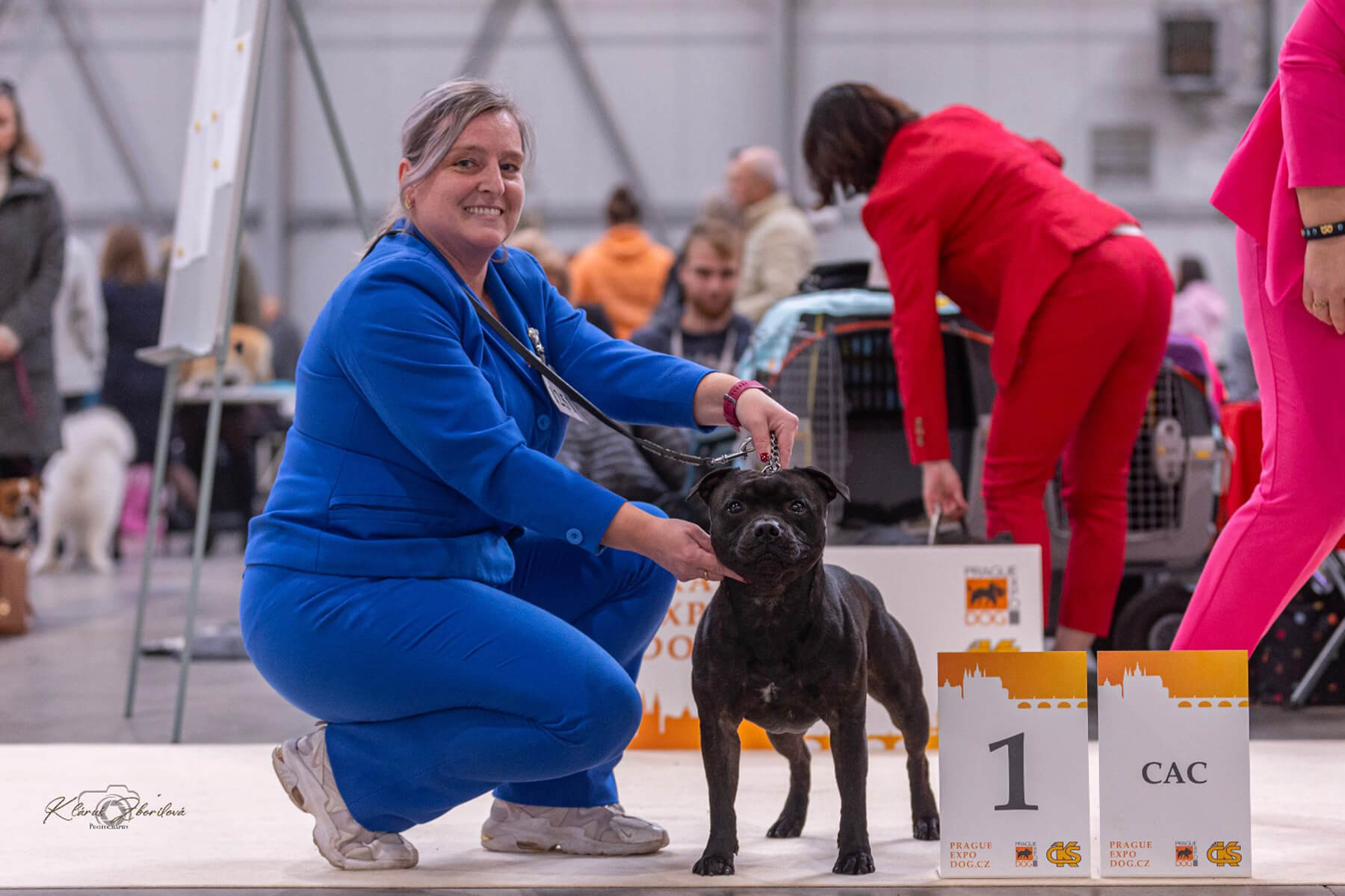 2024 Summary - DOMIDAR DOGS Kennel