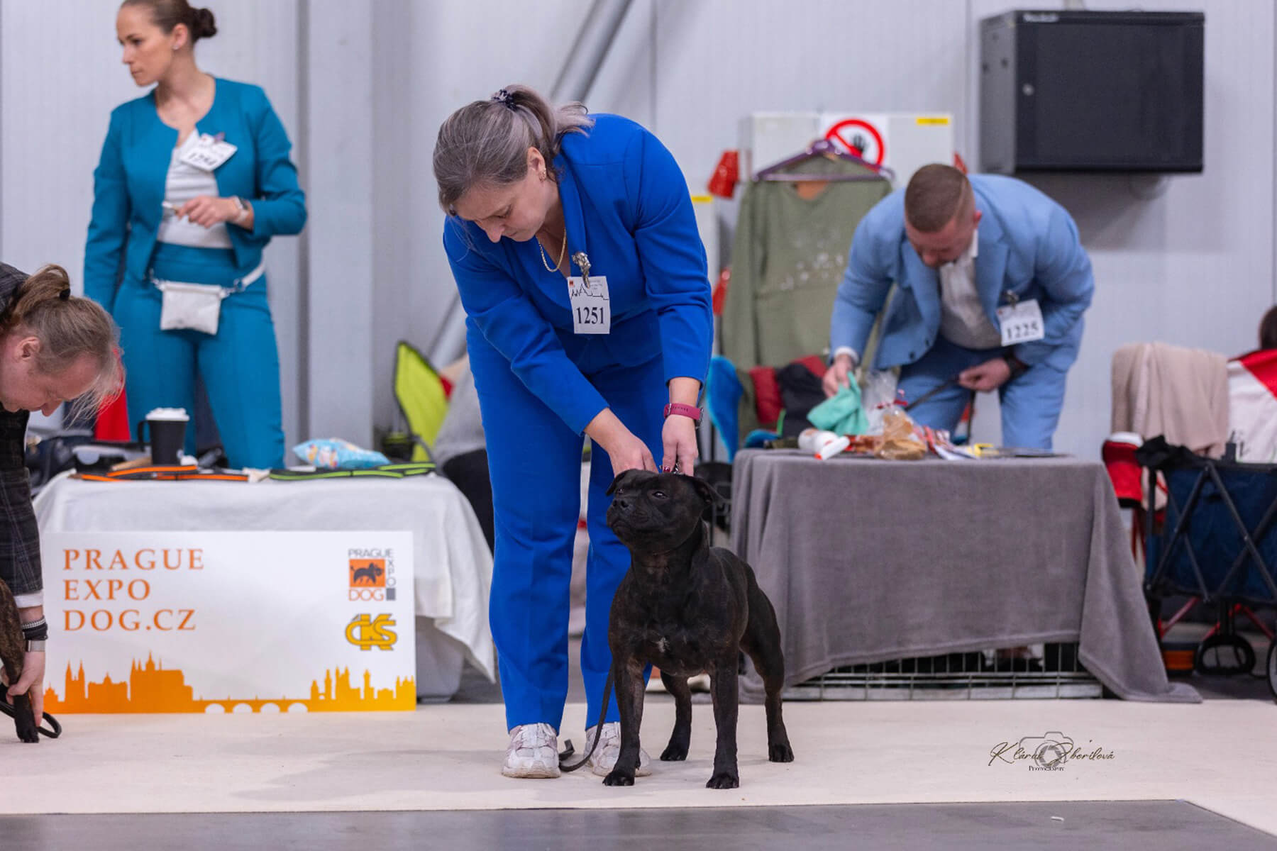 2024 Summary - DOMIDAR DOGS Kennel